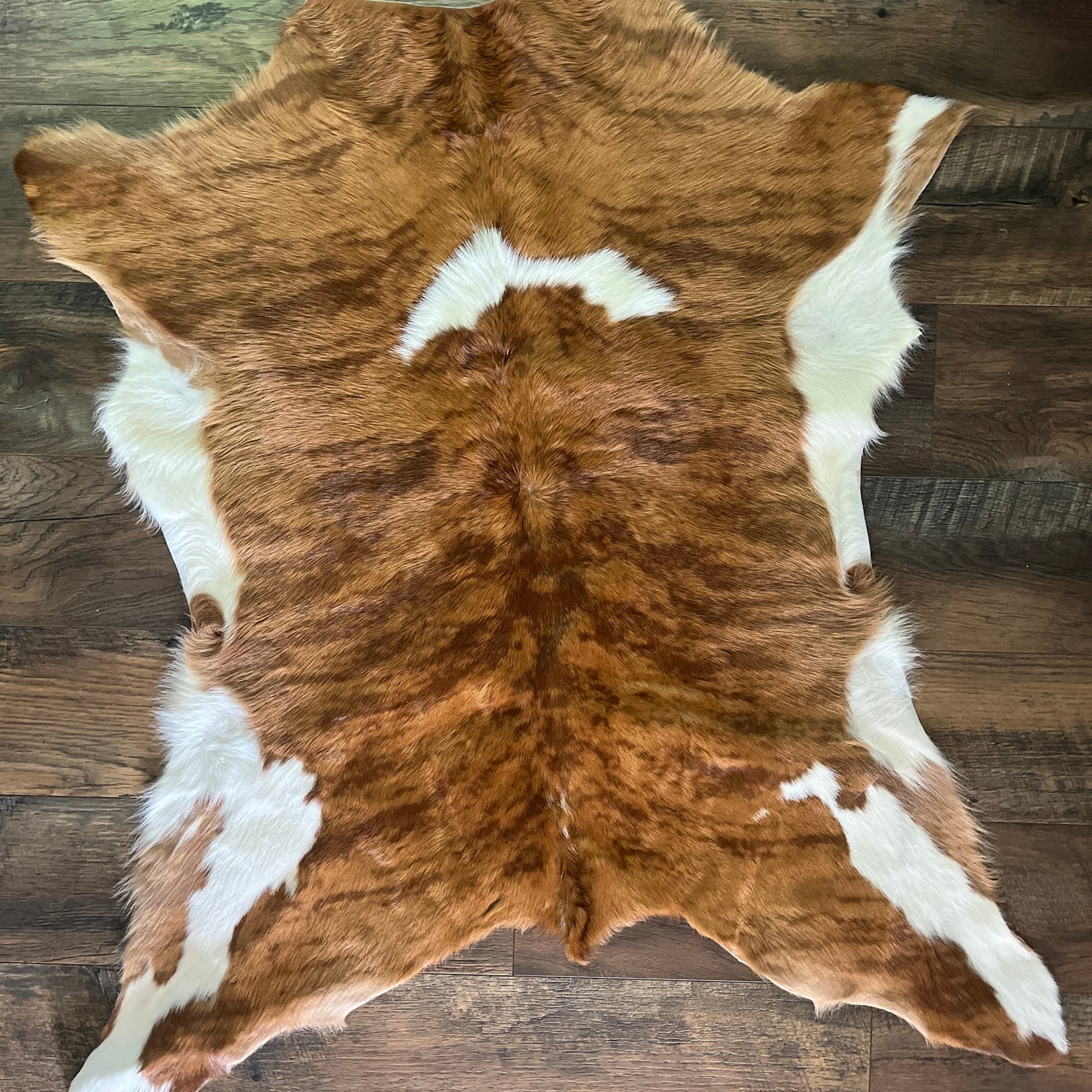 Calf hide #3